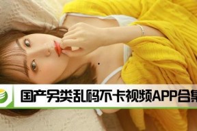 国产在线乱,揭秘国内网络乱象背后的真相与挑战