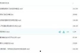 国产福利短视频,展现中国风情的魅力瞬间