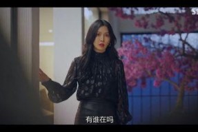 国产富姐调教,国产富姐的调教之路