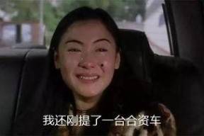 国产你懂,揭秘国产你懂背后的创新与实力