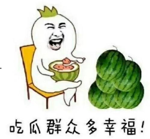吃瓜娱乐机,带你领略趣味互动新体验