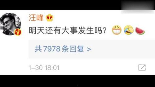 看娱乐圈吃瓜用什么软件,揭秘热门软件，轻松掌握明星动态