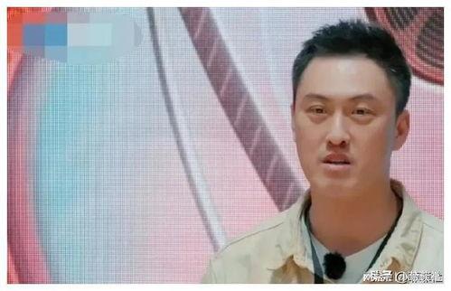 娱乐圈吃瓜最新小鲜肉,颜值与实力并存，成为新一代焦点