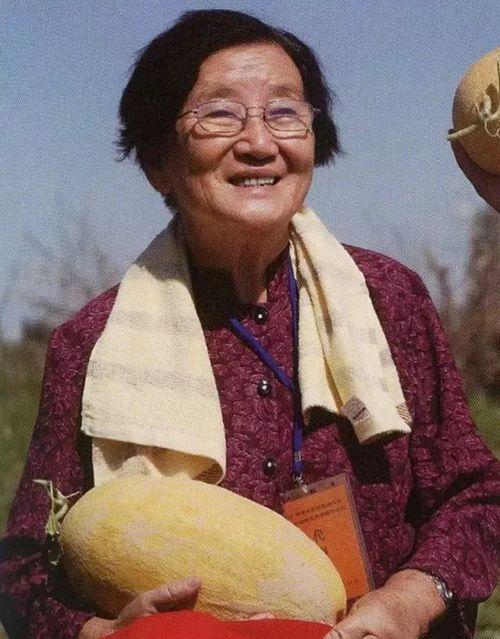 251娱乐圈吃瓜,251事件吃瓜指南