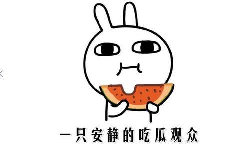 网上流行吃瓜是什么意思