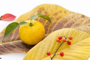 柚子娱乐吃瓜,揭秘娱乐圈最新吃瓜事件,带你领略明星幕后故事