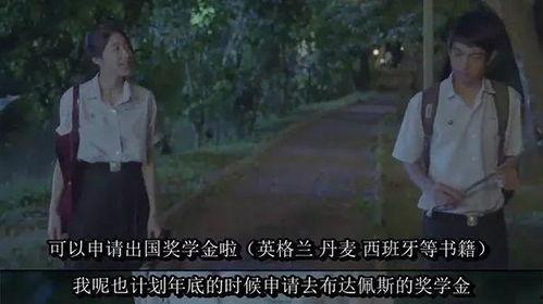 偷自国产